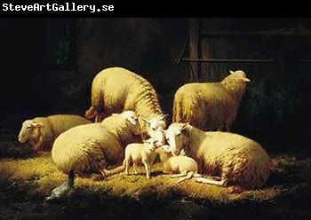 unknow artist Sheep 062